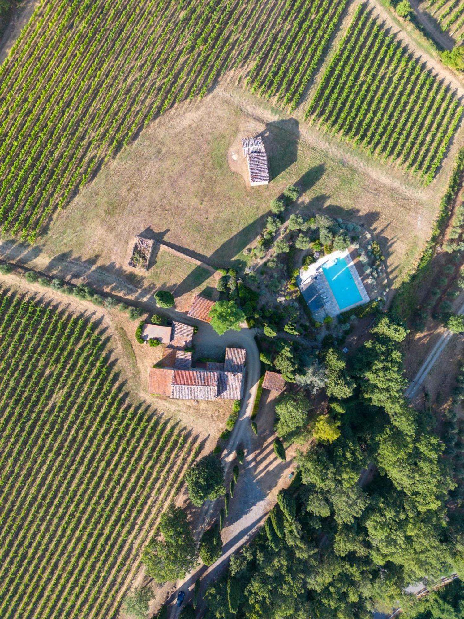 Villa Il Poggio Greve in Chianti Eksteriør billede